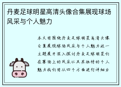 丹麦足球明星高清头像合集展现球场风采与个人魅力
